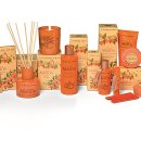 오렌지라인 이미지