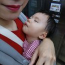 20개월 아가랑 대중교통 강화도 여행
