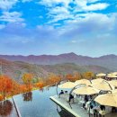 단풍세탁소 이미지