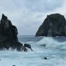 독도 카 서비스 이미지