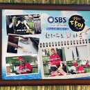 완도회타운
