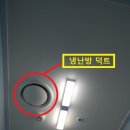 영음악학원 이미지