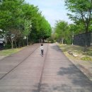 푸른길작은도서관 이미지