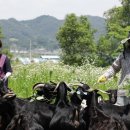 홍기농장 이미지