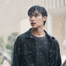플랑크톤 이미지