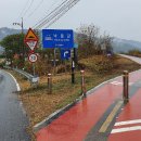 도동제 Daum카페