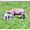 정선인투라온호텔 | 정선 인투라온 호텔 숙박 후기와 주변 관광지 정보