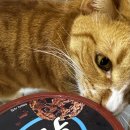 달콤아이스크림할인점 이미지