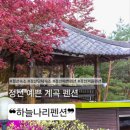 구미정 | 정선펜션 하늘나리펜션, 구미정계곡펜션과 함께하는 정선단체펜션 추천 💙