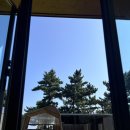 봉화중학교 | 봉화 중국집 중앙식당 🩵 울진 207마일 펜션 후기 내돈내산
