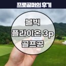 궁내로 7번길 | 가성비 골프공 볼빅 플라이온 3피스 추천. 프로 후기