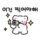 이씨에프