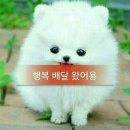 복 - 서구 대영로 37 | 복