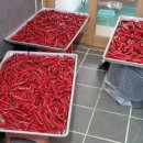 포두우체국 이미지