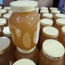 #벌꿀화분효능 #꿀화분효능 #벌화분효능 #벌꿀화분효능 이미지