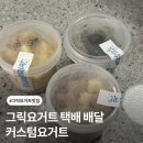 요거트맨 - 강남구 남부순환로 2917 | 그릭요거트 맛집 < 커스텀요거트 > 택배 주문 후기 (블루베리시나몬, 두유흑임자, 레몬그릭)
