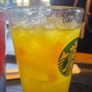 승에너지 | 스타벅스 신메뉴ㅣ서울 석양 오미자 피지오, 버즈 키위 팝 에너지 피지오 솔직 후기