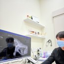 동탄원더스동물의료센터 | 동탄 산척동 동물병원 원더스가 전하는 노령견 약 복용 관리법