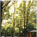 일자산숲속화장실 이미지