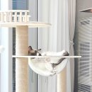 미뇽 캣 이미지