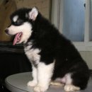 태경슈퍼 이미지