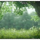 (주) 성도 이미지