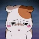 데이라이크 네이버블로그