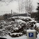 스테이 태정93 이미지