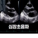 경대하트연합내과의원 이미지