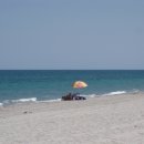 수박이네 이미지