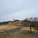 작은나무 | 연천 당포성 방문 후기 – 작은 언덕 위에 나무 하나
