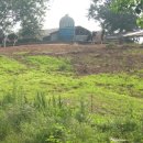 비봉목장 이미지