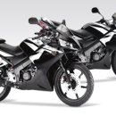 그린 모터샵 이미지