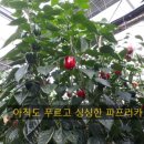 변종호 농장 이미지