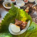 고향갈비촌 | [강원 속초] 속초 갈비맛집 송가네갈비촌 내돈내산 솔직후기
