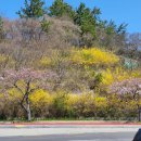 엠보스모텔 이미지