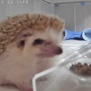 부천준동물병원 이미지