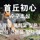 수구초심 뜻이~~~이 이미지