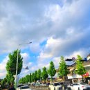 청년대게 본점 | [경주 황리단길 맛집후기] 십원빵부터 청년분식, 구슬아이스크림까지, 경주 여행 먹거리 총정리!