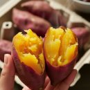 진명에너지 이미지