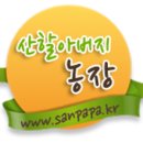 앙젤리크카카오