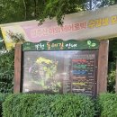부천둘레길4코스 | 부천 둘레길 6코스 성주산 산책 후기, 유산소 싫어하는 사람도 가능
