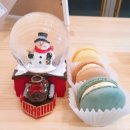 더마카롱 이미지