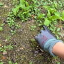 형제야채 이미지