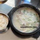 태지팜 | [워터파크] 해운대 LCT 클럽디오아시스 | 겨울 워터파크 풀타임 이용후기 | 입장권 할인, 주차 | 내돈내산