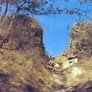 구주 - 부천시 원미구 부일로469번길 30 | 구주