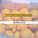 신 만원의행복 | 겨울 제철 과일 귤 후기｜만원의 행복 맛, 보관, 영양 기록