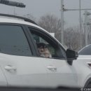 담양숯불 떡갈비 | 담양 맛집 쌍교숯불갈비 본점 예약 한우떡갈비 물냉면 내돈내산 후기