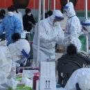 강서구-48 이미지