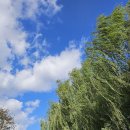 거창창포원 이미지